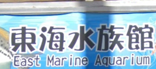 推介: 東海水族館 East Marine Aquarium