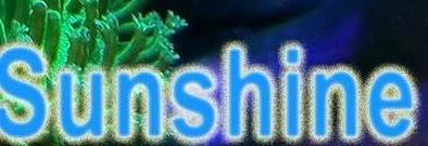 推介: SunShine Marine