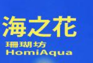 推介: 海之花 HomiAqua