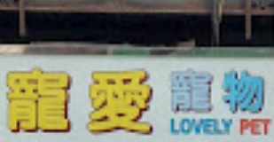 推介: 寵愛寵物美容屋 LOVELY PET
