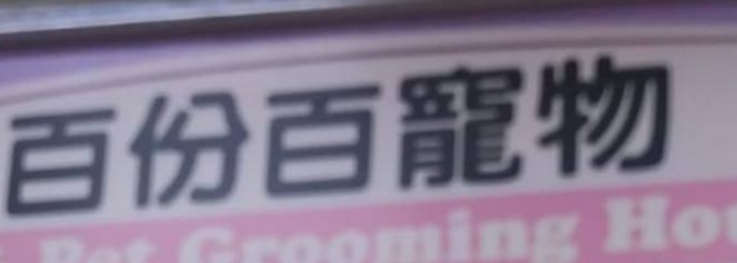 推介: 百份百寵物