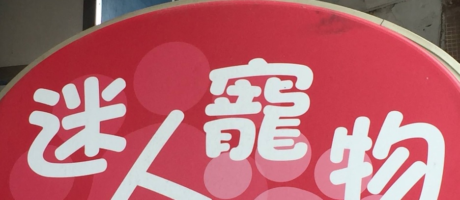 推介: 迷人寵物