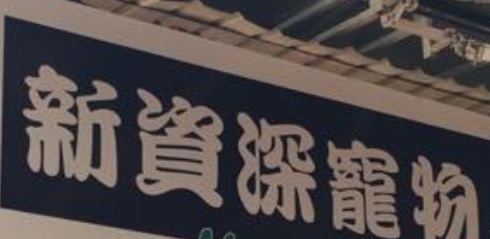推介: 新資深寵物