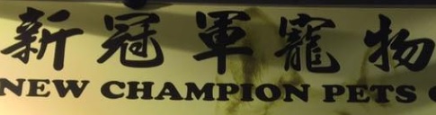 推介: 新冠軍寵物世界